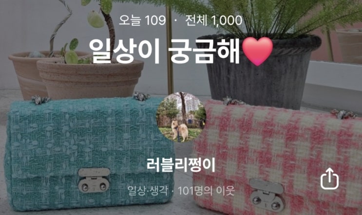  100명돌파/이웃100명달성/이웃님들 감사합니다c