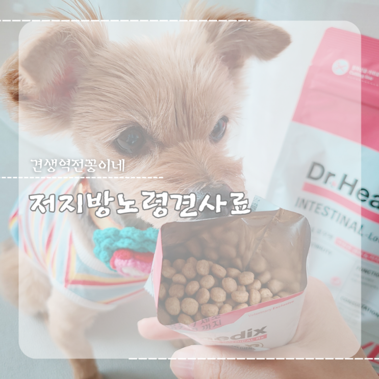  강아지 저지방 처방사료 닥터힐메딕스 D/L 노령견사료 추천
