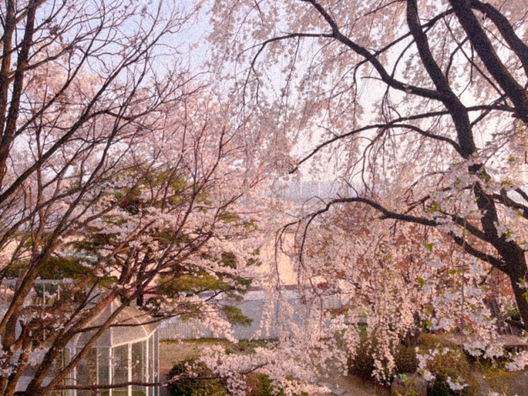  대본 없는 드라마에서 대사 틀릴까 걱정하는 배우처럼