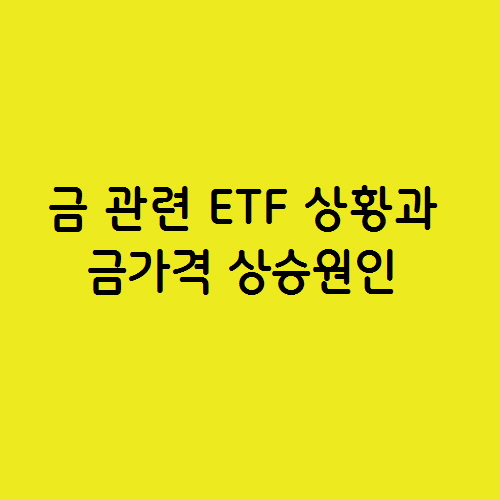  현재 금 관련 ETF 상황과 금가격 상승원인