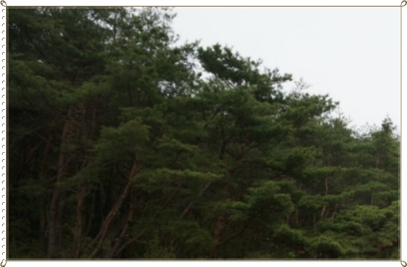 화부산 사진 2