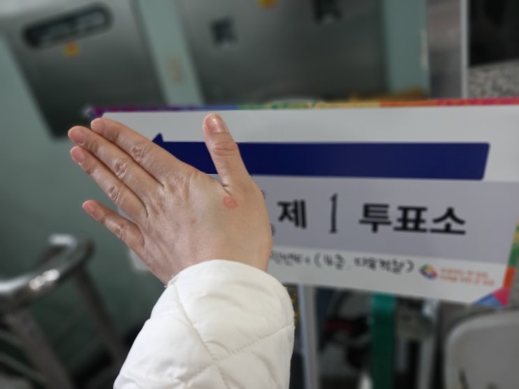 2024년 4월 10일 제 22대 국회의원 투표하고 오셨나요?