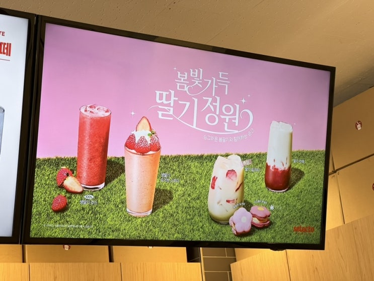 [서울/영등포] 셀렉토커피 :: 생딸기 요거트 스무디, 꽃카롱 봄시즌메뉴, 봄빛가득 딸기정원