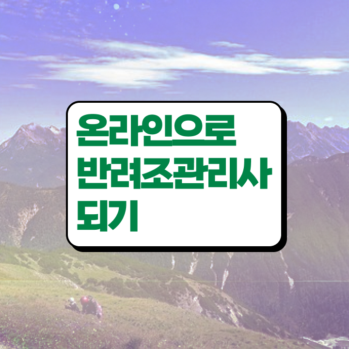 금강앵무분양 , 반려조관리사 자격증 무료 수강 체크