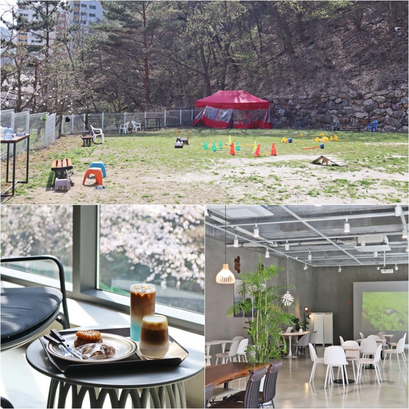 사진 8