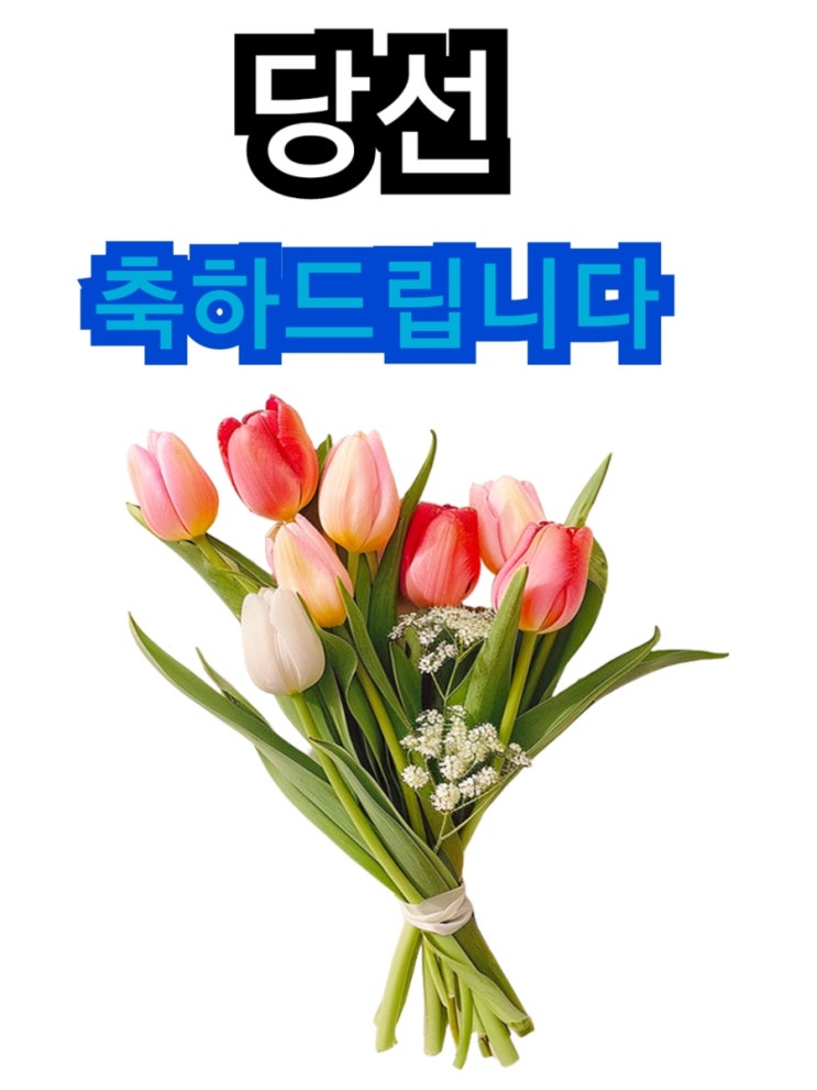 [22대 국회의원 선거 ]  민주·연합 183~197석, 국민의힘  85... 