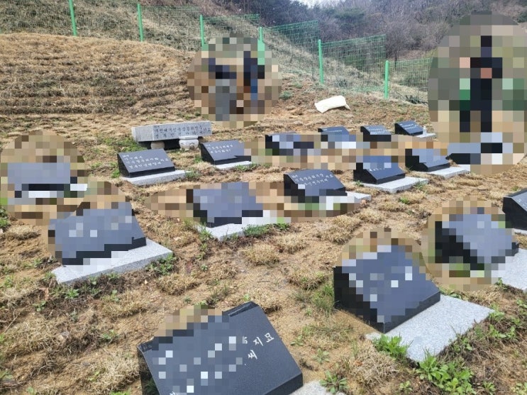  2024년 김천시 부항면 대야리 파묘후 이장 2기 가족묘원안치 고인돌장묘개발 #김천이장 #구미이장 #선산이장 #상주이장 #성주이장 #김천장의사 #구미장의사 #선산장의사 #상주장의사
