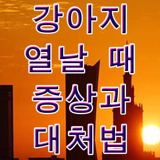  반려견행동 , 반려동물관리사 자격증 독학으로 학습 및 취득과정 , 구인,구직 정보