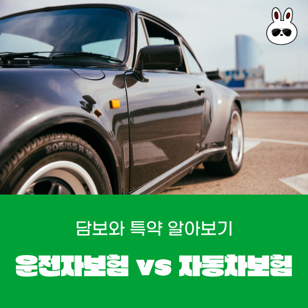  운전자보험 vs 자동차보험 담보와 특약 알아보기