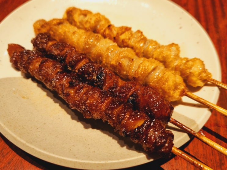 [일본 후쿠오카 하카타 2박3일 여행 브이로그] 1일차 : 하카타역 이자카야 닭꼬치 맛집 - 토리카와 다이진 / 숙소 - 닛코호텔 후쿠오카