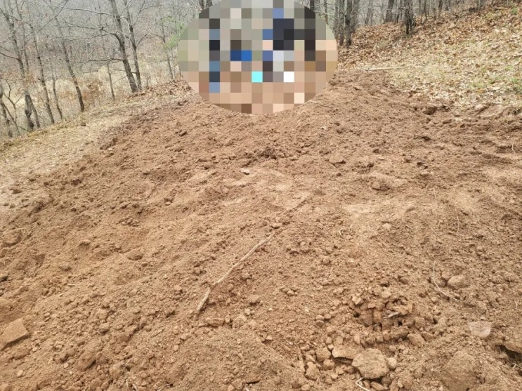  2024년 의성군 봉양면 문흥리 파묘후 화장 2기 군위군 성당묘원안치 고인돌장의사 #김천이장 #구미이장 #선산이장 #상주이장 #성주이장 #손없는날 #윤달 #벌초 #이하늘장사 #이장
