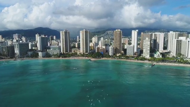  사랑앵무 수명 , 반려조관리사 자격증 취득 후 취업 전망 확인해보세요