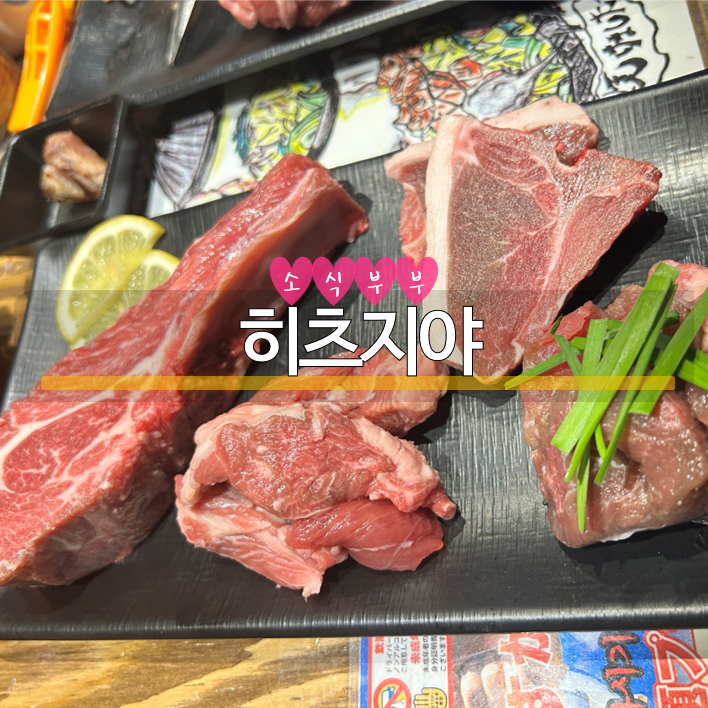  [천호] 천호맛집, 천호역맛집 '히츠지야 천호점'