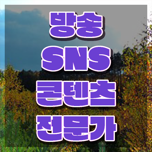  콘텐츠 마케터 포트폴리오 , 방송sns콘텐츠전문가 자격증 이후 전망과 취업 방법 살펴보기