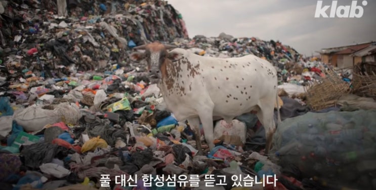  헌옷수거함에 버린 옷이 어디로 가는지 아시나요? (꼭 알아야할 불편한 진실)