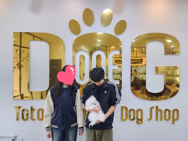  반려견과함께하는행복한삶,세종시말티즈분양/세종시강아지분양/원독/세종시애견샵/세종시 최대규모 강아지 분양 전문샵/반려견과 사춘기 아이들과의 관계