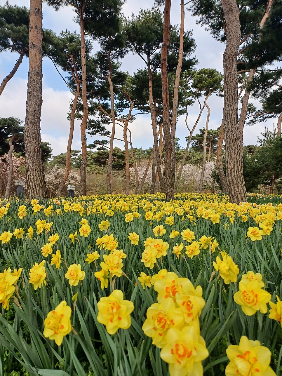 역마산 사진 6