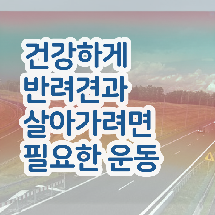  반려견운동지도사 분석가 , 반려견운동지도사 자격증 온라인으로 손쉽게 취득 노하우 궁금하다면