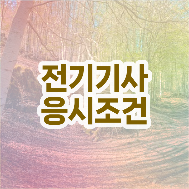  전기기사 발표 전기기사 자격요건 실무경력 없어도 단기간에 준비하고 자격증을 취득했던 과정
