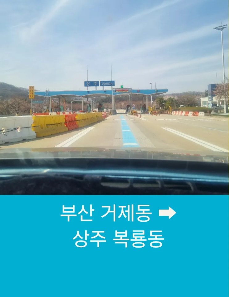  부산 거제동에서 상주 복룡동까지 반려견과 함께 행복하고 안전한 장거리펫택시운행