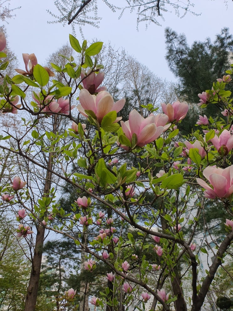  [2024 APR] 봄봄
