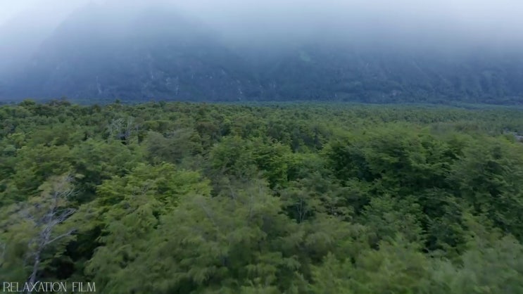  식품산업기사 응시자격 식품산업기사 시험자격 1학기 만에 준비하고 취업까지 골인한 전략