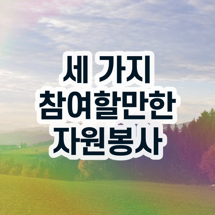  부국제 자원봉사 , 자원봉사지도사 자격증 난이도, 합격률 핵심 정보