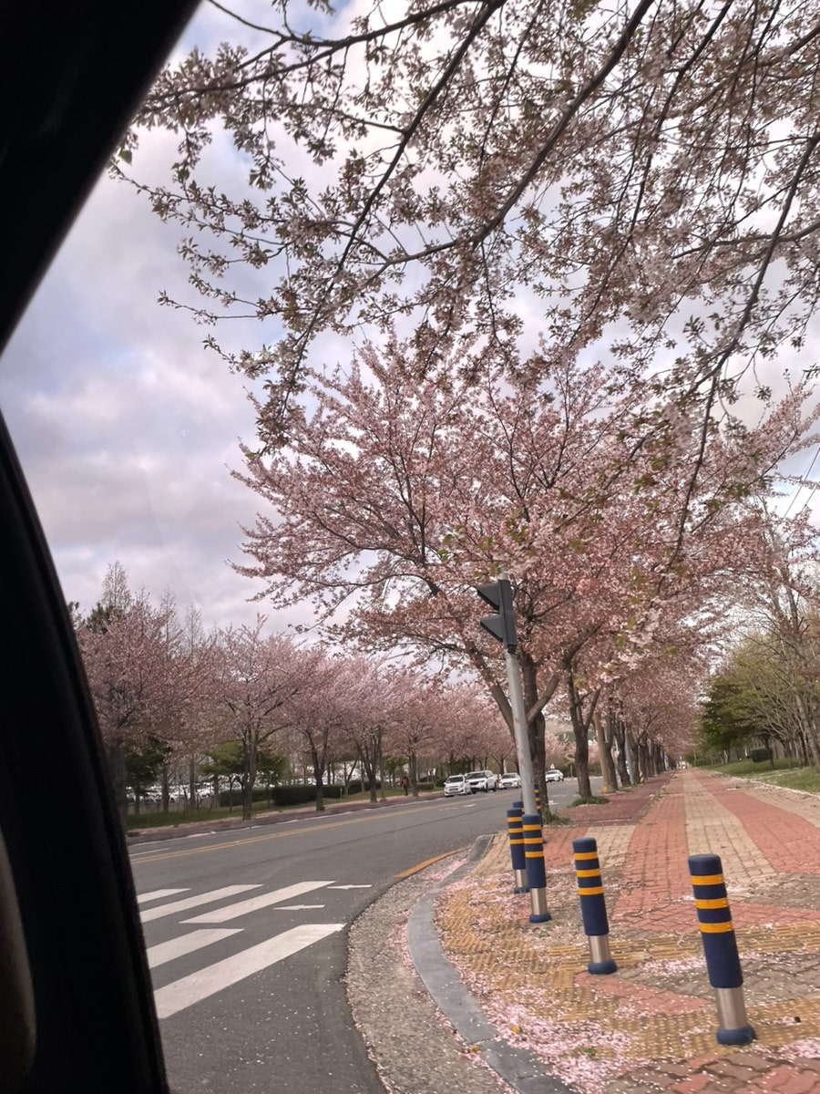Beodeunamujip photo 2