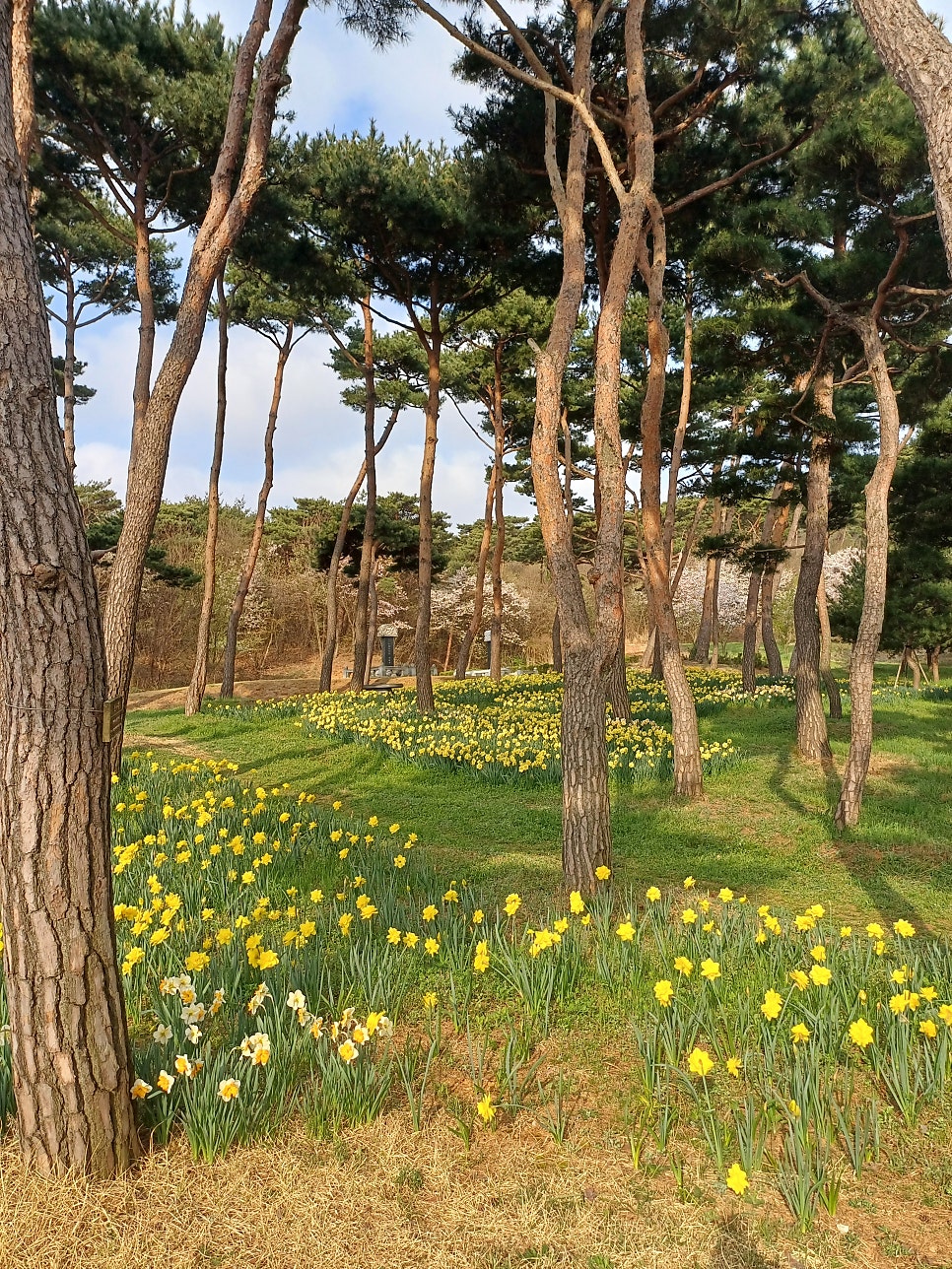 역마산 사진 5
