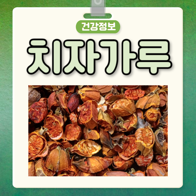 치자가루 효능 부작용 치자 나무 치자 열매 치자 꽃 효능 : 네이버 블로그