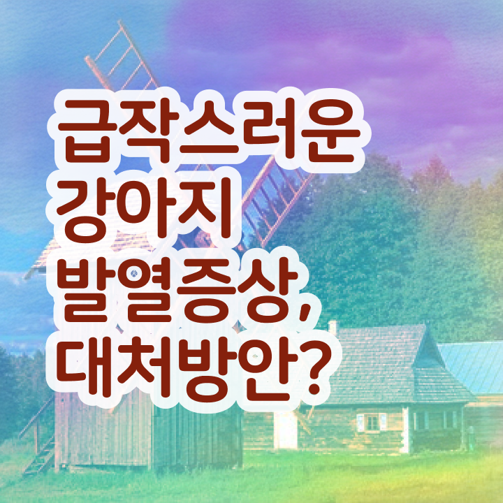  반려동물실비보험 , 반려동물관리사 자격증 합격 전략 확인