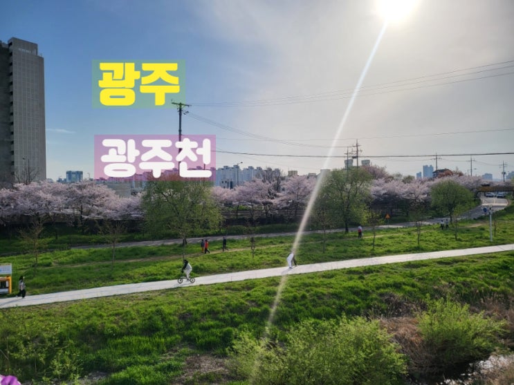  광주 여행 자전거길 광주천 산책로 걷기