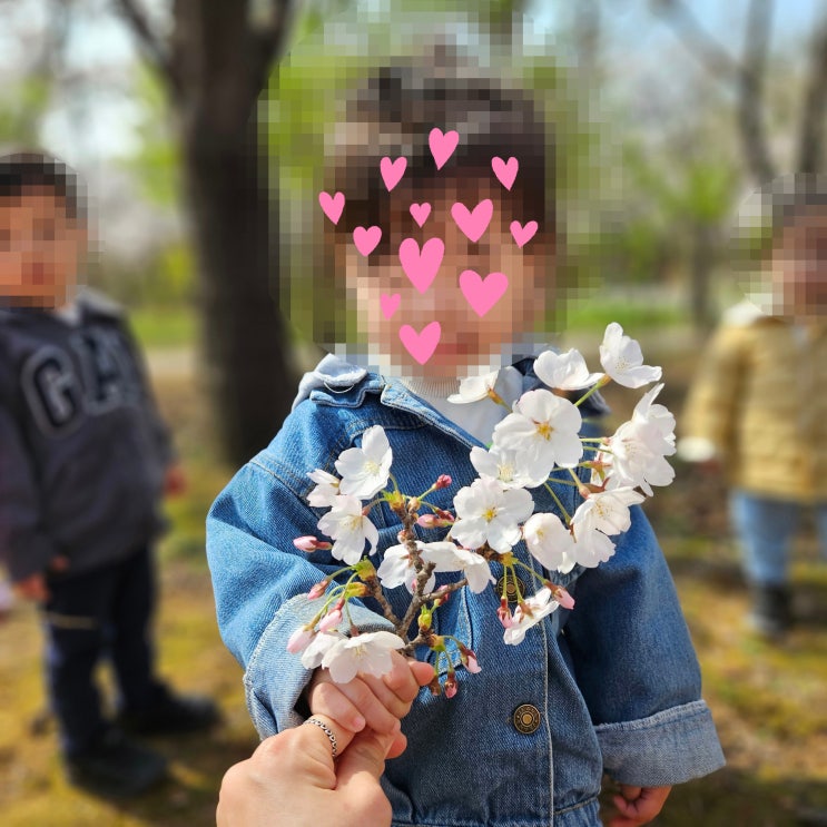  [인천봄꽃/벚꽃구경] 중앙공원/센트럴파크 봄나들이