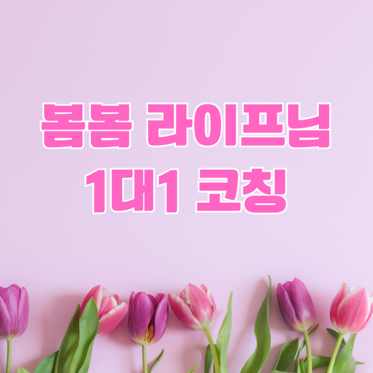  봄봄라이프님 블로그 코칭