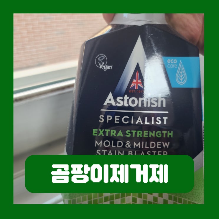  창문 창틀 곰팡이 제거 방법 실리콘 곰팡이제거제 사용 후기