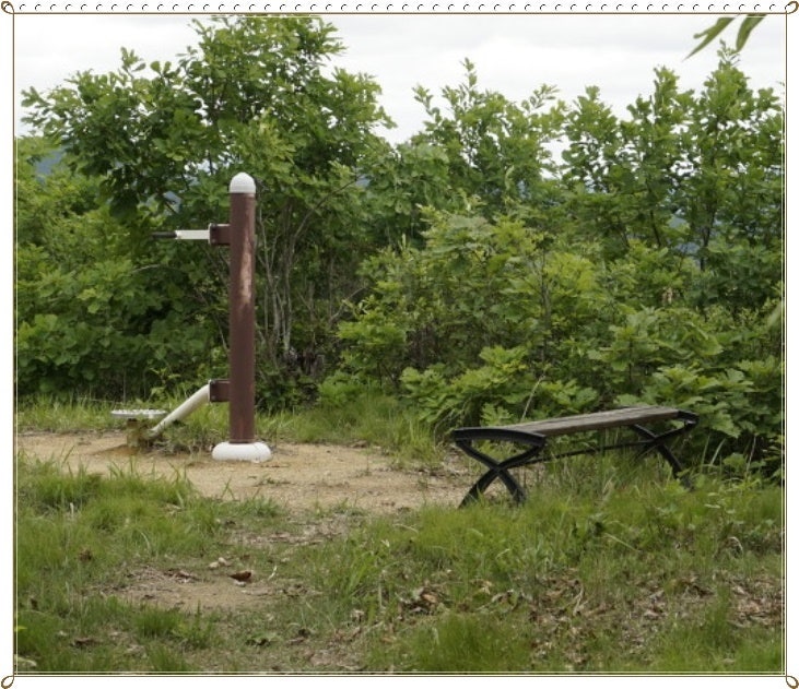 홍도산 사진 2
