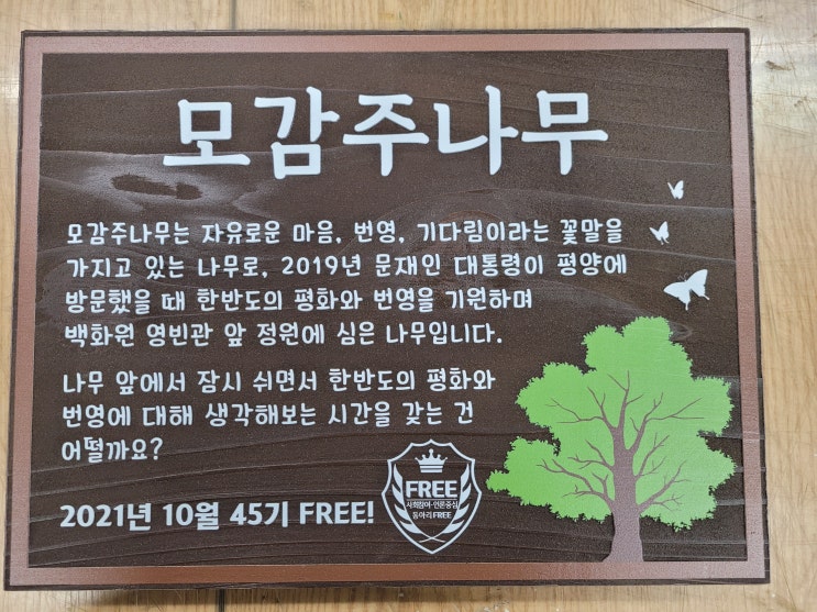  나무간판으로 만나보는 기념식수 수목표찰~