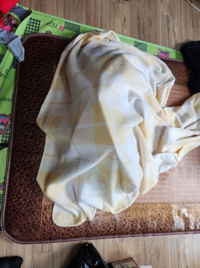 죽은 자식 불알 만지기(접붙이기) : 네이버 블로그