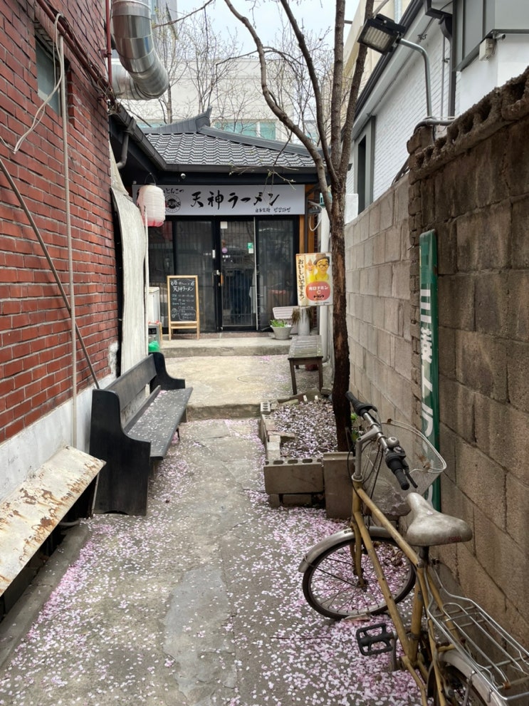  [선유도 맛집] 일본 현지 느낌 가득한 깔끔한 라멘 맛집 ‘텐진라멘’ 혼밥 후기
