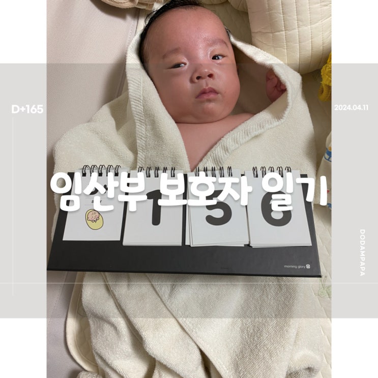 도담이와 함께보내는 내 첫번째생일 D+165 도담이와 함께보내는 내 첫번째생일 D+165