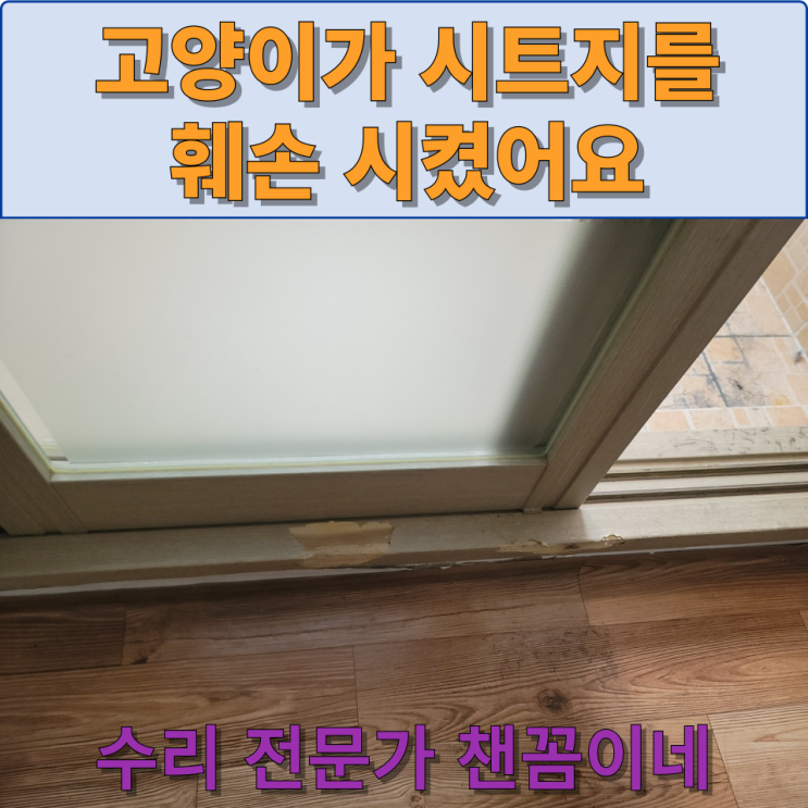  중문 시트지를 강아지 고양이가 훼손 시켰어요