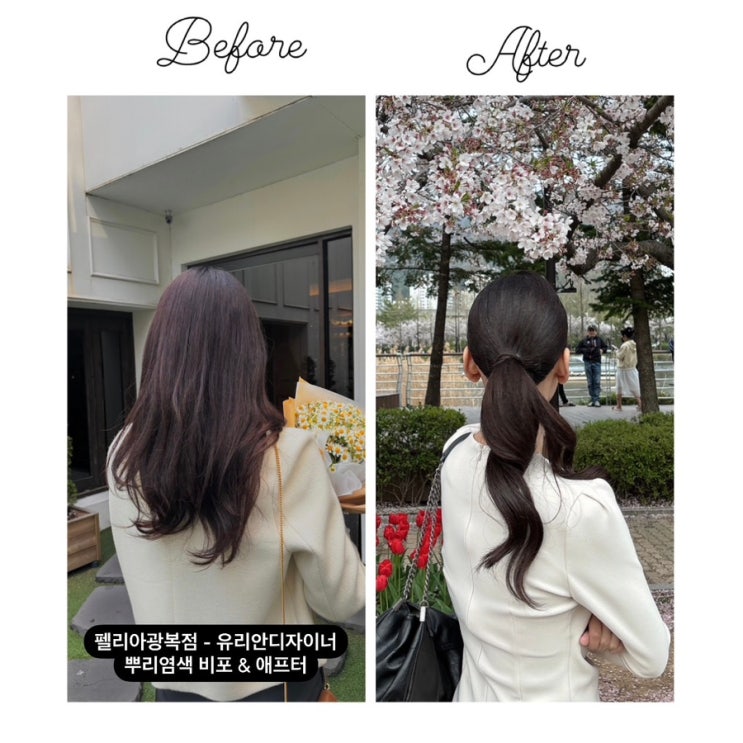  부산 중앙동 미용실 뿌리염색 FELIA 추천 이유