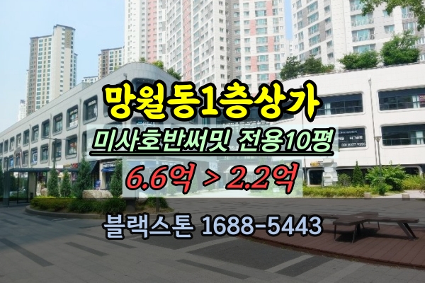 미사신도시 1층상가 경매 호반써밋 전용10평 애견샵 매매