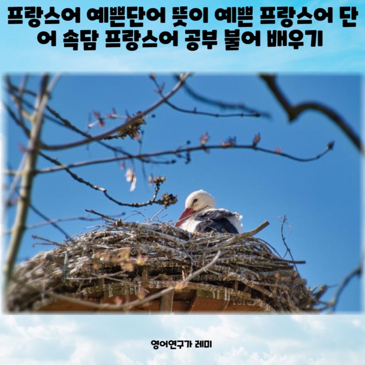 프랑스어 예쁜단어 뜻이 예쁜 프랑스어 단어 속담 불어 프랑스어 공부 배우기 (+ 짧은 영어글귀) 프랑스어 예쁜단어 뜻이 예쁜 프랑스어 단어 속담 불어 프랑스어 공부 배우기 (+ 짧은 영어글귀)