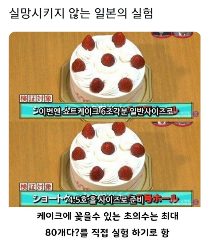  실망시키지 않는 일본의 실험