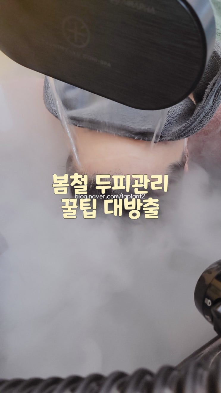  봄철 두피 가려움증 각질 관리 방법 / 홈케어로 트러블 해결