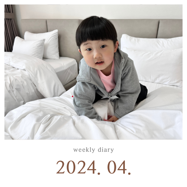  벚꽃 일상
