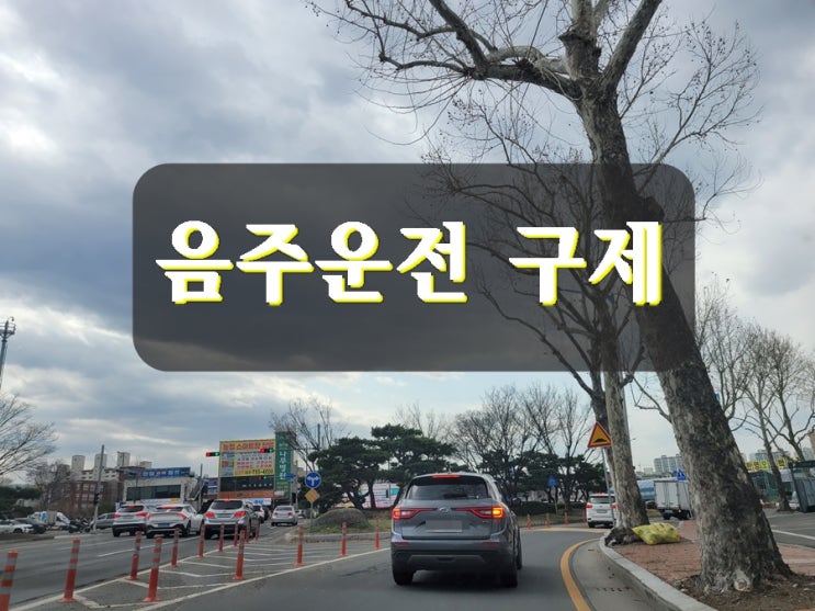  음주운전 면허취소 1년 기간 줄이는 방법은 없을까
