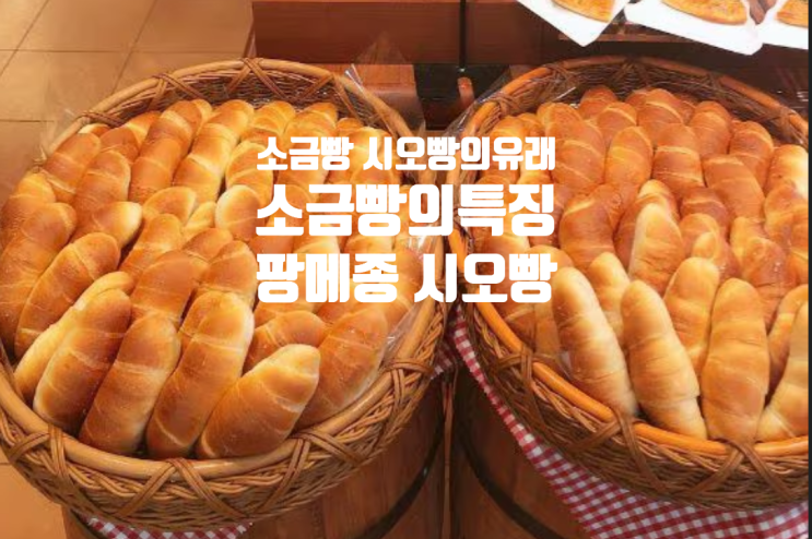  소금빵 시오빵의 유래와 우리나라에서의 유행시기는? 소금 빵의 특징은?