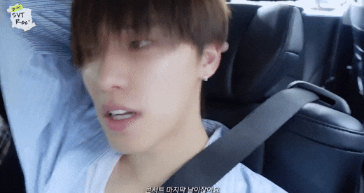  세븐틴 상황문답- 수영장에서(19++) 무료배포